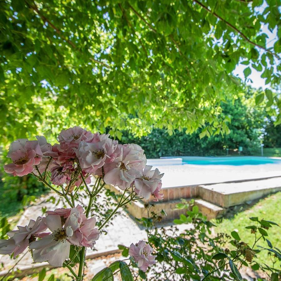 Borgo Del Nibbio Apartment Porto Levante Ngoại thất bức ảnh