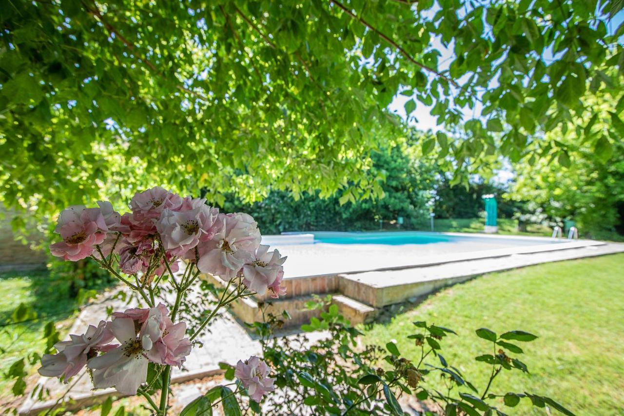 Borgo Del Nibbio Apartment Porto Levante Ngoại thất bức ảnh